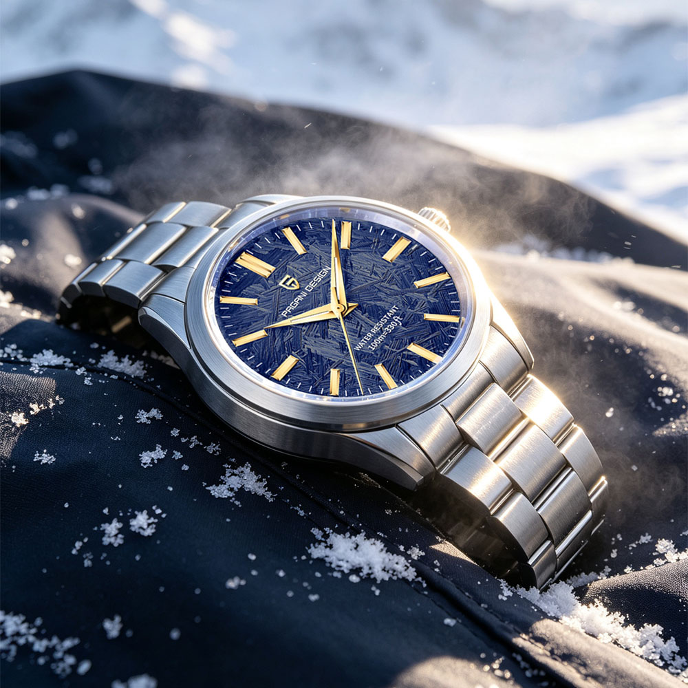 PAGANI DESIGN 40MM Men Quartz  - Luxury Watch Strap recension och pris