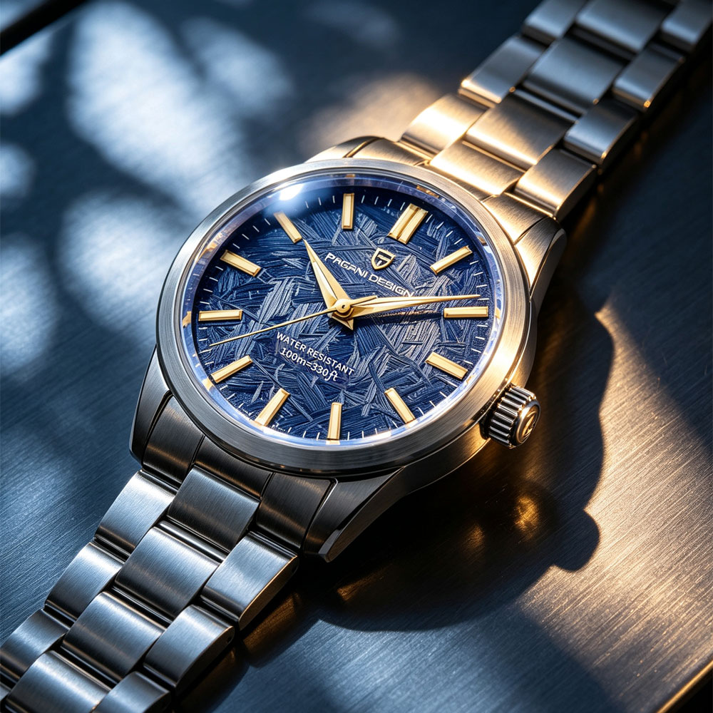 PAGANI DESIGN 40MM Men Quartz  - Luxury Watch Strap recension och pris
